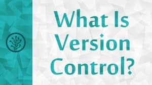 What Is Version Control and What Is Its Purpose? - Developers ...